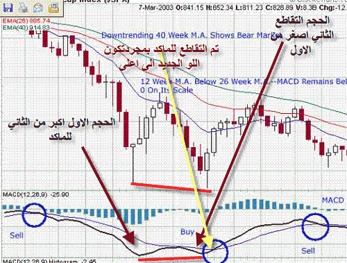 macd.GIF‏