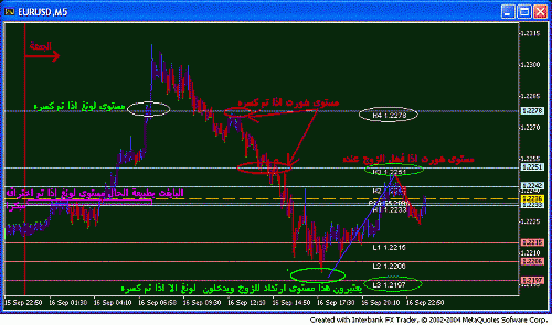 eur fri cam.GIF‏