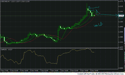 usdcad1.gif‏