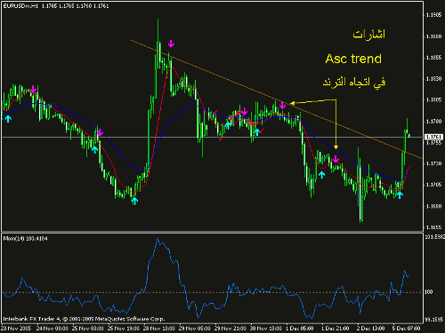 eur1.gif‏