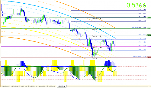 nzd.png‏