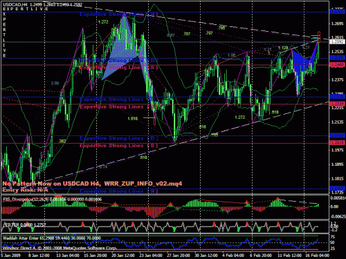 divergence usdcad 4h 16-2-09.gif‏