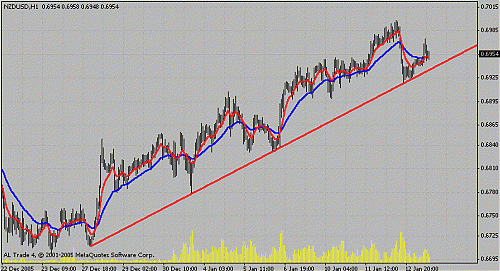 nzd.gif‏