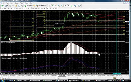 euro31-3.jpg‏