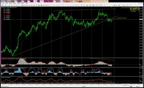 nzdchf4.jpg‏