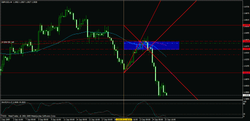 eudusd11.gif‏