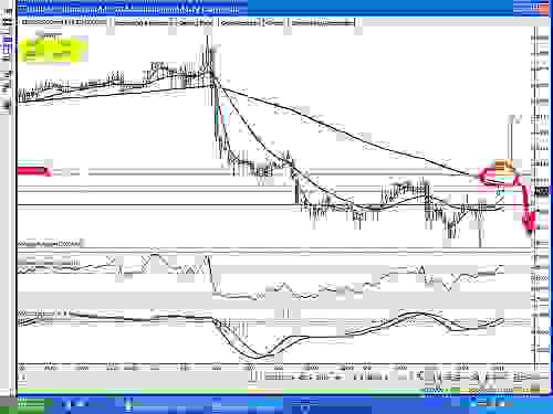 JPY1.JPG‏