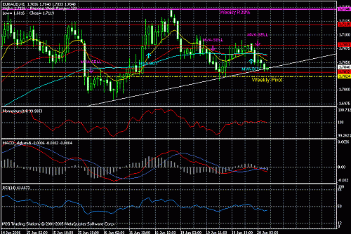 euraud h1.gif‏