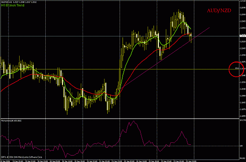 aud nzd.gif‏