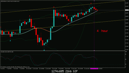 nzd cad 4.gif‏