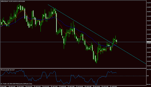 nzd .gif‏