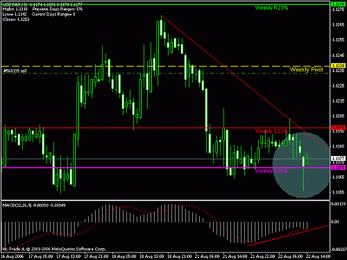 usdcad.gif‏