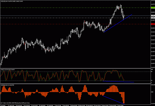 nzd.gif‏