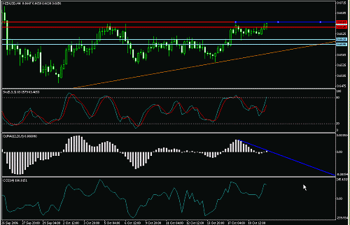 nzd.gif‏