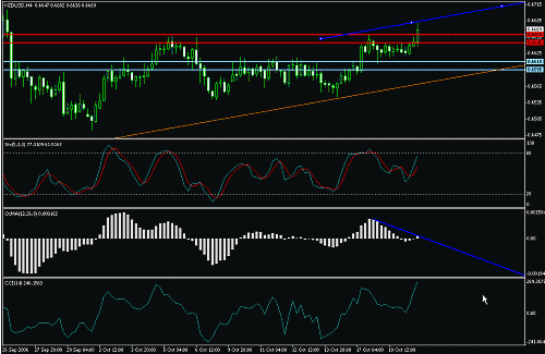 nzd.gif‏