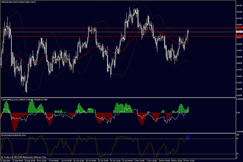 nzd.gif‏