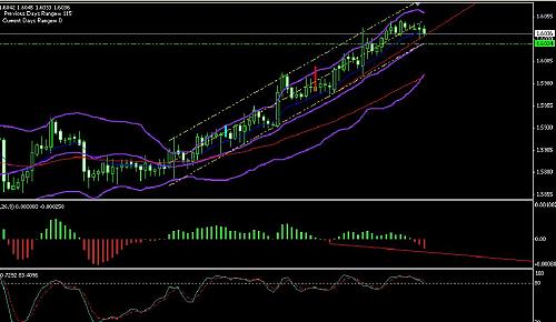 eurchf.JPG‏