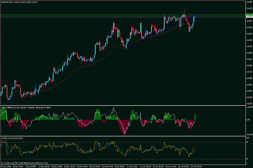 eur-chf.gif‏