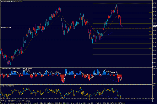 nzd.gif‏