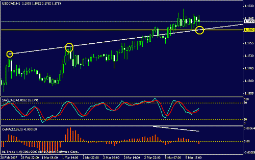 usdcan.gif‏