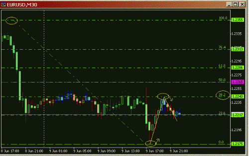 Eur Thu Fibo.GIF‏