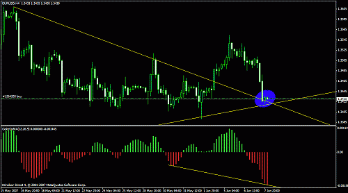 euro 8 june.gif‏