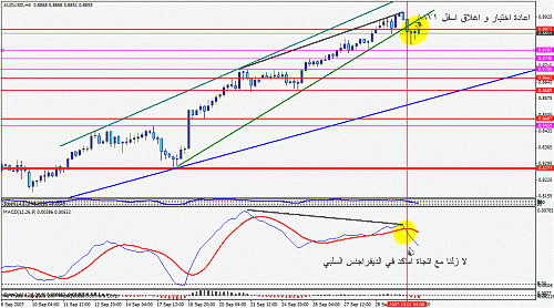 aud.gif‏