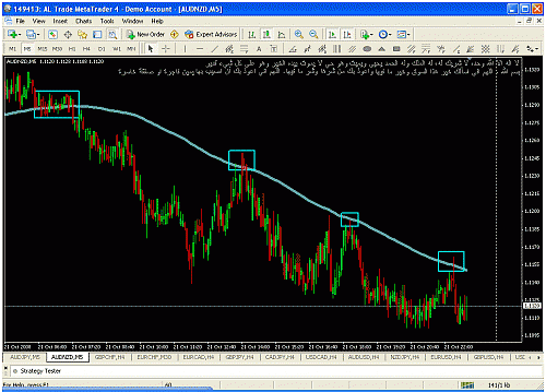 audnzd5.gif‏