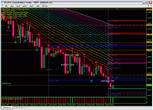 fx usdchf.gif‏