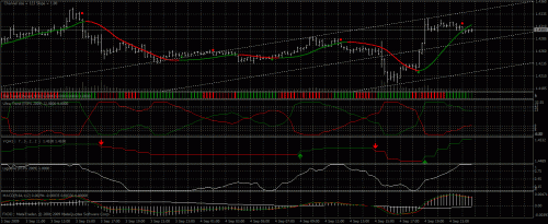 pips 2009.gif‏