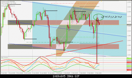     

:	eurusd-02022012-1h.gif
:	48
:	39.4 
:	306677