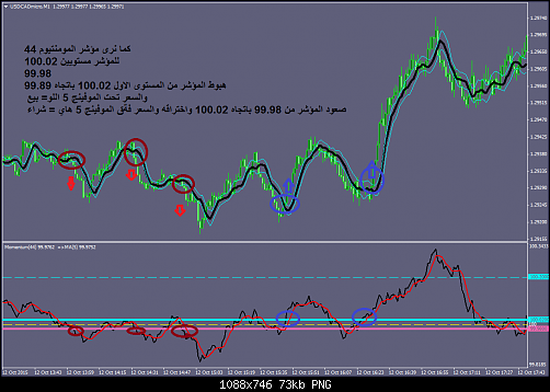 USDCADmicroM1.png‏