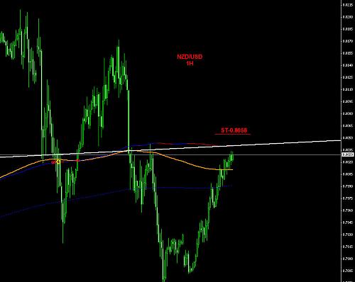 NZD-1H.jpg‏