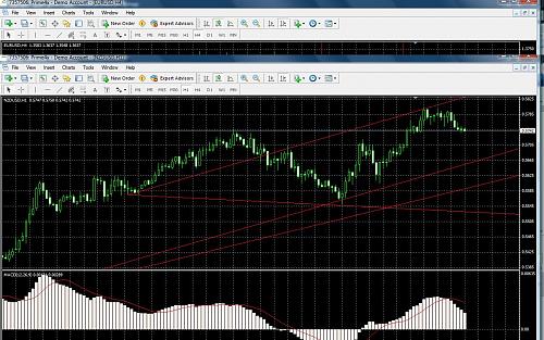 nzd1h.jpg‏