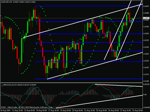 aud.gif‏