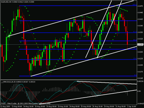 aud.gif‏