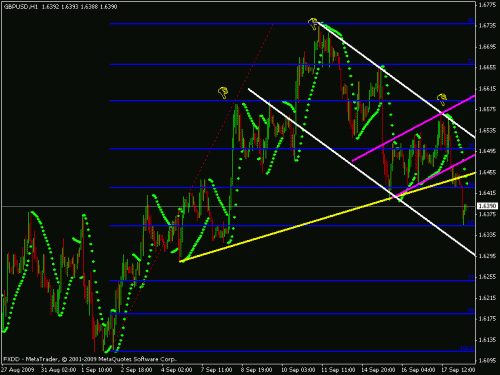 gbp.gif‏