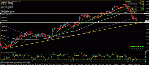 13.8.2010uero.gif‏