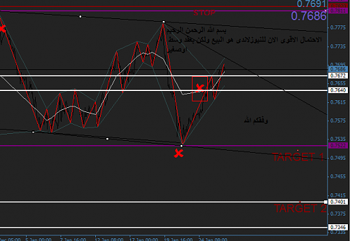 NASHAR-COOL-NZD.png‏