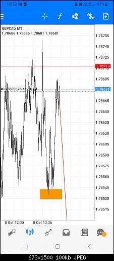 Screenshot_20241008_135309_MetaTrader 4.jpg‏