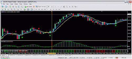 gbpjpy7.gif‏