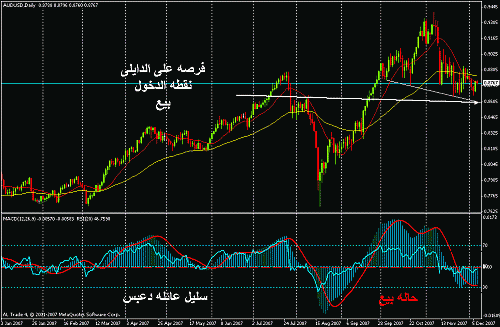 h&s aussie.gif‏