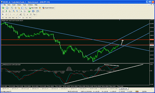 udajpy2.gif‏