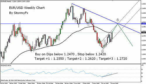 stormyfx-eurusd04092005.gif‏