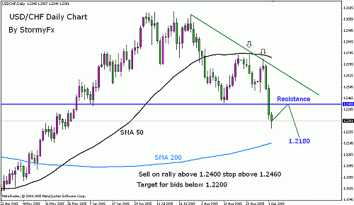 stormyfx-usdchf04092005.gif‏