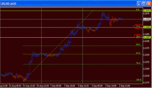 Eur Fibo.GIF‏