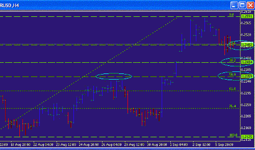 Eur Fibo.GIF‏