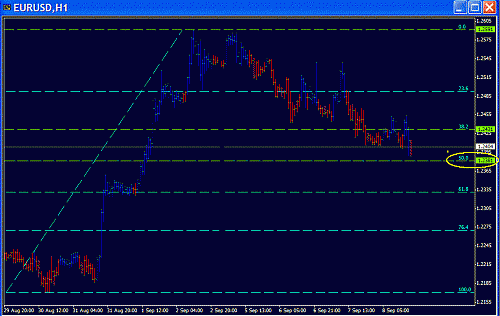 Eur Fibo.GIF‏