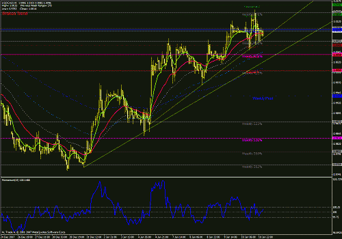 usd cad h1 11 1 2008.gif‏