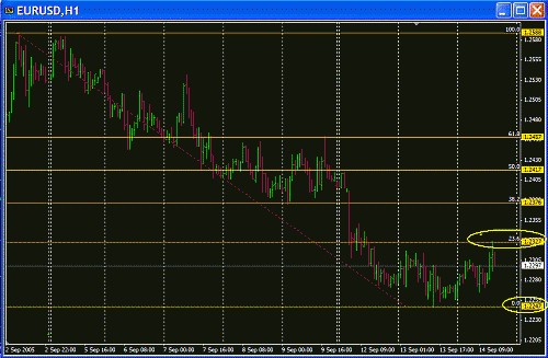 Eur Fibo.GIF‏